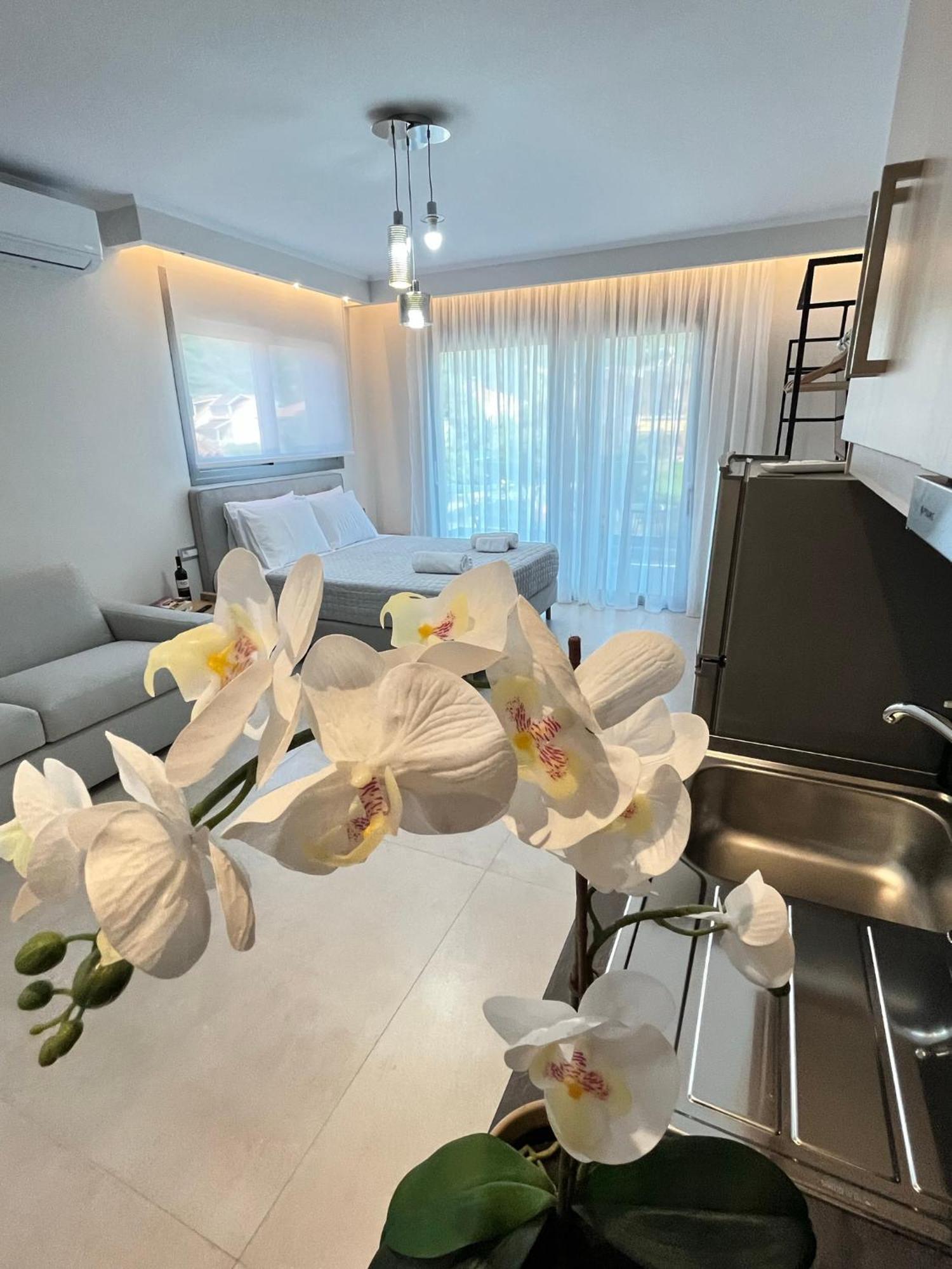 Maison Deluxe Studios And Apartment Parga Exteriör bild